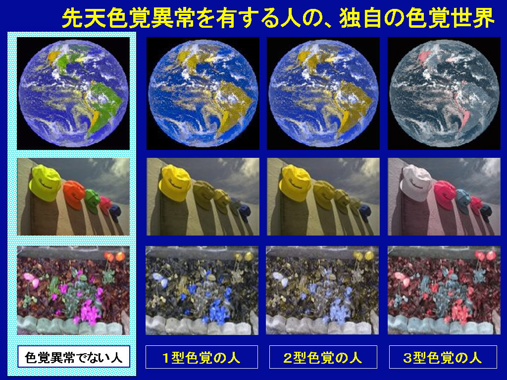障害 色覚 日本人男性の20人に1人。「色覚障がい」を見分けるテスト